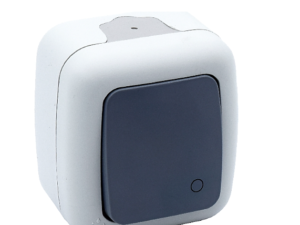 INTRERUPATOR REVENIRE PT IP54 ELEGANT