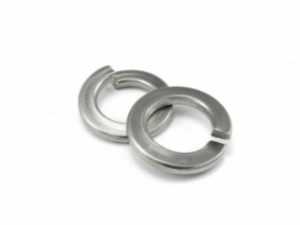 Saiba elastica M10